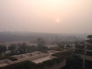 delhi-vivanta-suraj-view-300x225.jpg