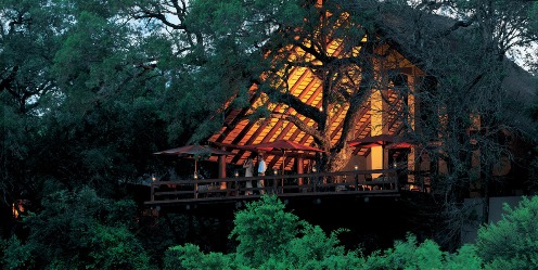 Varty Camp at Londolozi