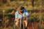 Field of Light Uluru The Luxury Travel Bible (2)