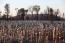 Field of Light by Bruce Monro in THE LUXURY TRAVEL BIBLE (7)