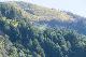 Jagged Edge NZ