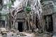 Temple Ta Prhom