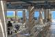 albatros restaurant royal mare
