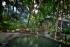 capella ubud pool  luxury travel bible