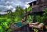 capella ubud plunge pool