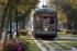 streetcar photo by cheryl gerber