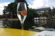 champagne cruise