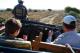 on safari