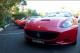 ferrari line up