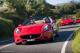 prancing horse
