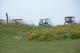 golf carts