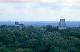 tikal jungle