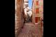 hvar street in the luxury travel bible