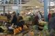 les halles market