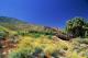 desert landscape