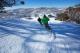 skiing, shannon pawsey