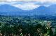mt view