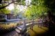 chinese gardens