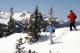 snowshoe, brett schreckengost