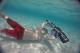 diving with subwing