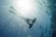 subwing underwater