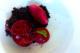 dining at berowra waters inn