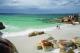 bay of fires view