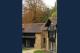 stable accomadation