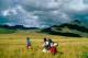 high plains
