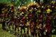 warriors