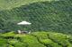 resort signature picnic experience