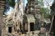 ta prohm