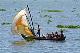 sarisailingindia3