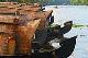 sarisailingindia4