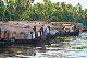 sarisailingindia5
